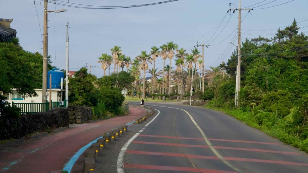 A curving coastal road leads toward palms near Hado, with a red bike path running alongside.