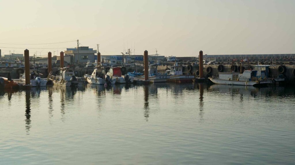 Small fishing boats tie up neatly along the docks at Sehwa Port.