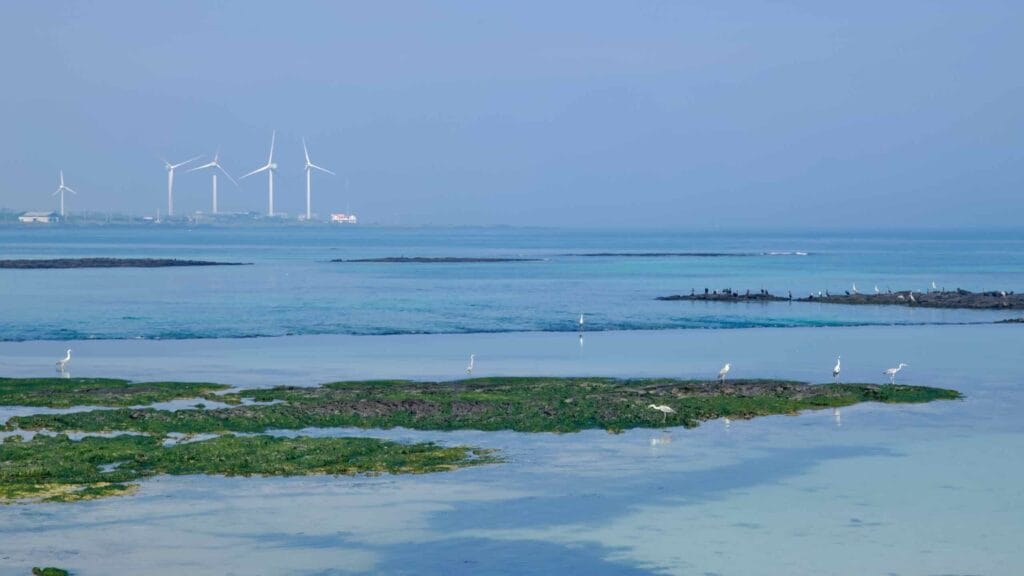 A blue shared path sign overlooks the Haengwon shoreline with a wind turbine beyond.