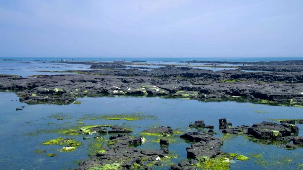 Basalt platforms with glassy tidepools span Cheonggulmul’s reef flats at low tide.