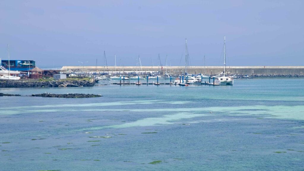 Sailboats and a catamaran rest at floating docks in the sheltered marina at Gimnyeong Port.