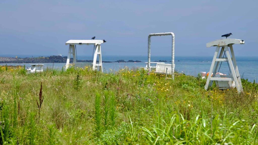 White wooden swings face the sea from a grassy meadow near Dongbok’s basalt shore.