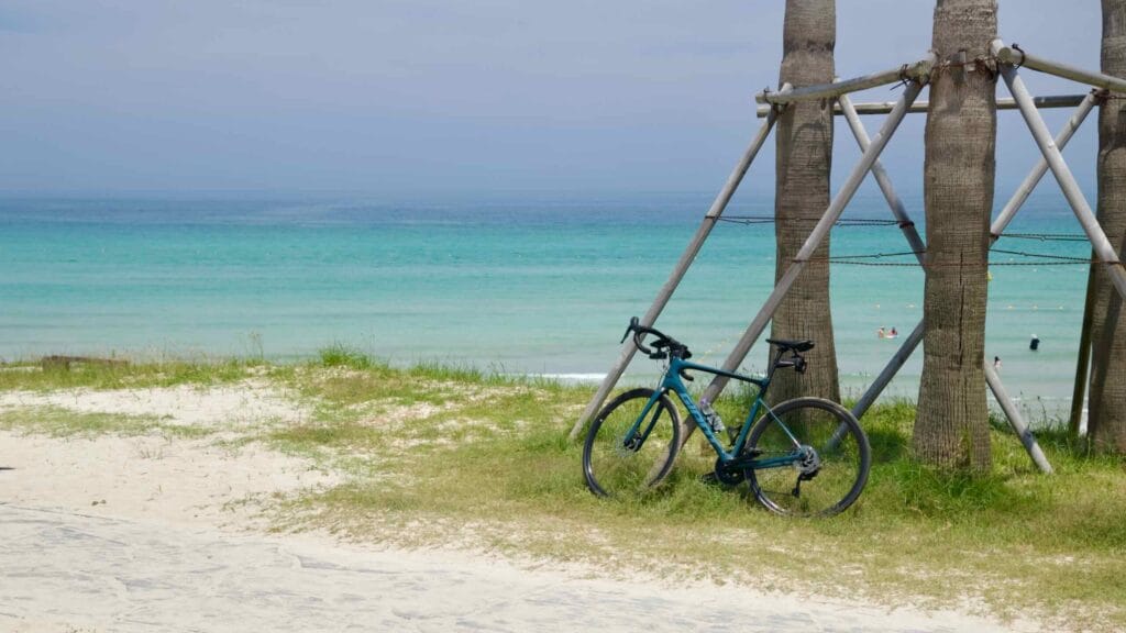 A bicycle rests by palm trunks on the white sand at Hamdeok Seoubong Beach.