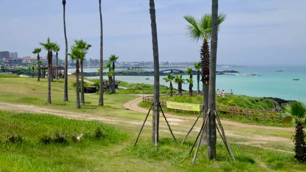 Palms rise over lawns and a wooden boardwalk above Hamdeok Seoubong Beach.
