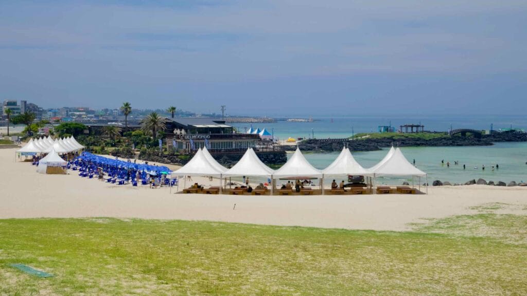 Rows of blue parasols and lounge chairs line the wide sand at Hamdeok Seoubong Beach.