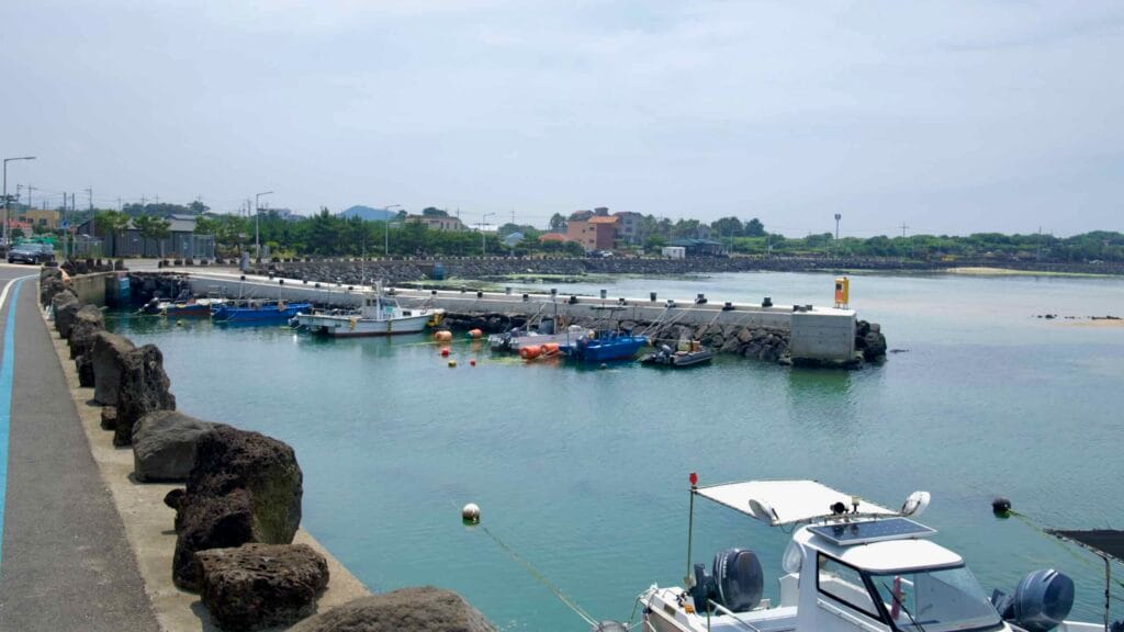 Fishing boats moor in a small harbor near Shinheung Beach behind a low breakwater.