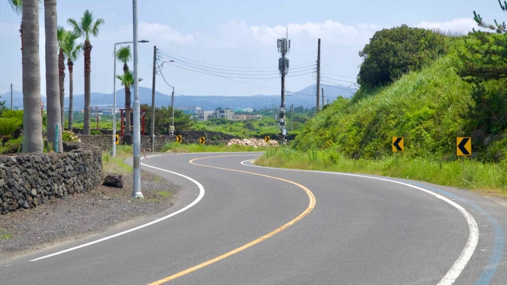 A coastal road passes stone walls and young palms near Shinheung.