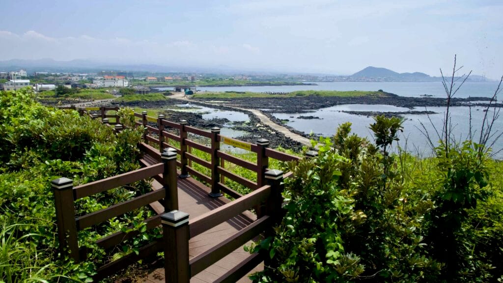 Wooden boardwalk climbs Shinheung headland, overlooking fish weirs and tidal channels.