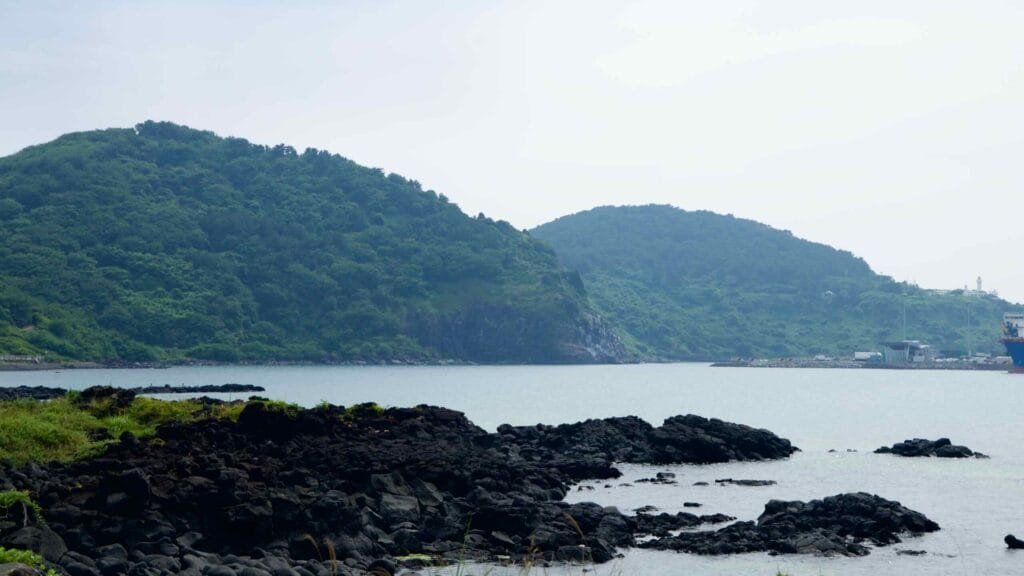 Black basalt ledges fringe the shallows below forested headlands east of Jeju City.