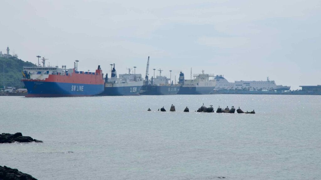 A row of ferries and car carriers moor along Jeju Harbor, framed by quiet swells and dark basalt rocks.