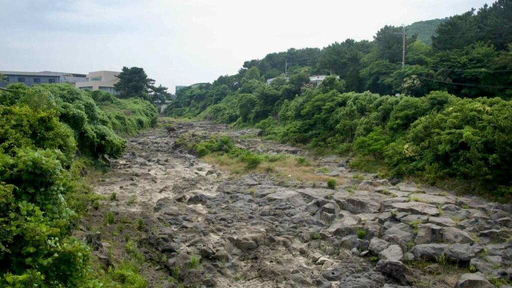 The dry Hwabuk Stream cuts through dense summer foliage, exposing weathered basalt slabs.