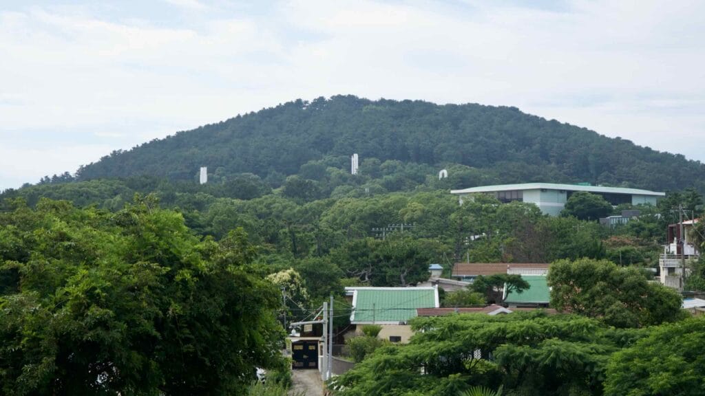 Sara Peak rises above treetops as the pale-green roofline of the Jeju National Museum.