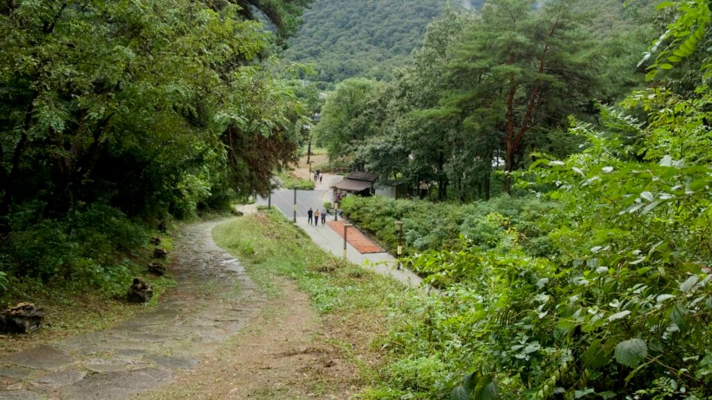 A forest path above the Omija Theme Tunnel looks down toward the access road and visitors below.