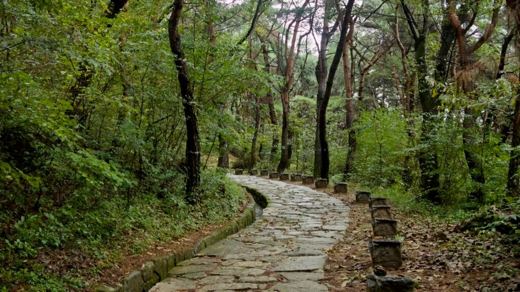 A curving stone footpath winds through pines near the mountain fortress under a green canopy.