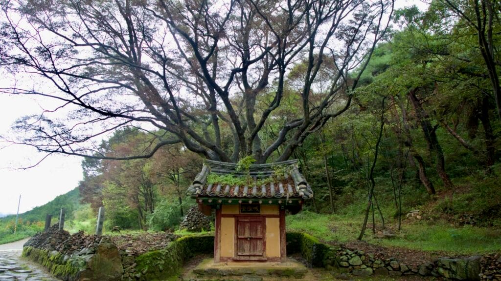 A small roadside shrine with a tiled roof sits beneath a spreading tree along the old stone road in Mungyeong Saejae with lanterns.