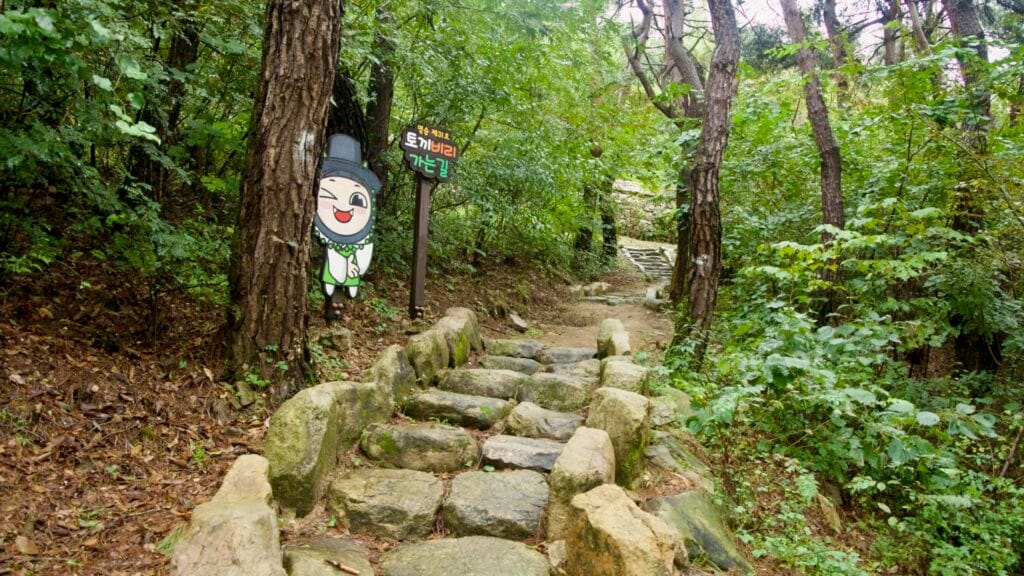 At the trail to Tokkibiri, a cheerful sign marks the way beside rough stone steps, leading hikers into the forest toward cliff views.
