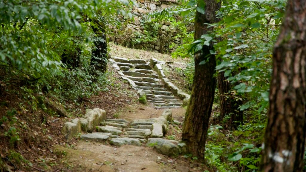 Rough stone stairs rise toward the perimeter wall of Gomo Mountain Fortress, threading through damp pines and undergrowth.