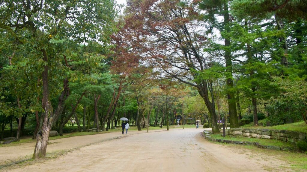 A wide tree-lined path leads visitors with umbrellas through Mungyeong Saejae.