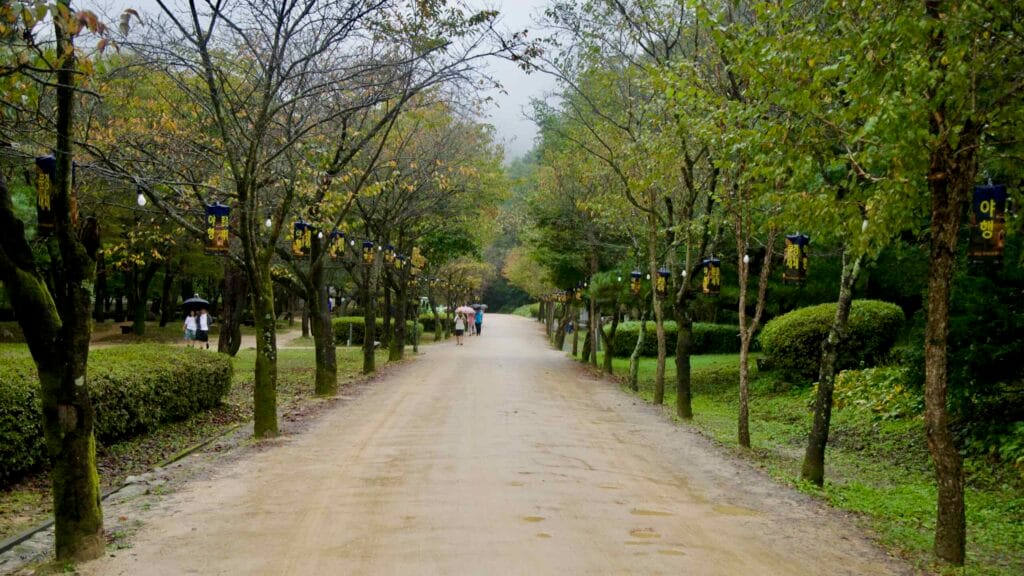 Lanterns hang along a straight park avenue at Mungyeong Saejae Provincial Park.