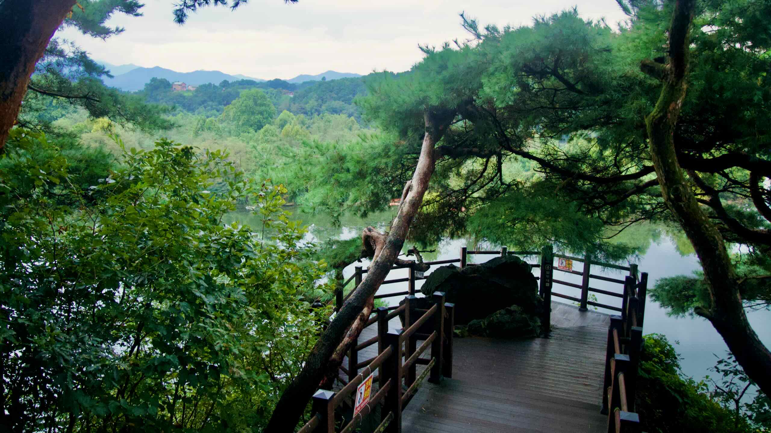A viewing deck among pines at Tangeumdae Park looks over the South Han River, safety signs fixed to the rail.