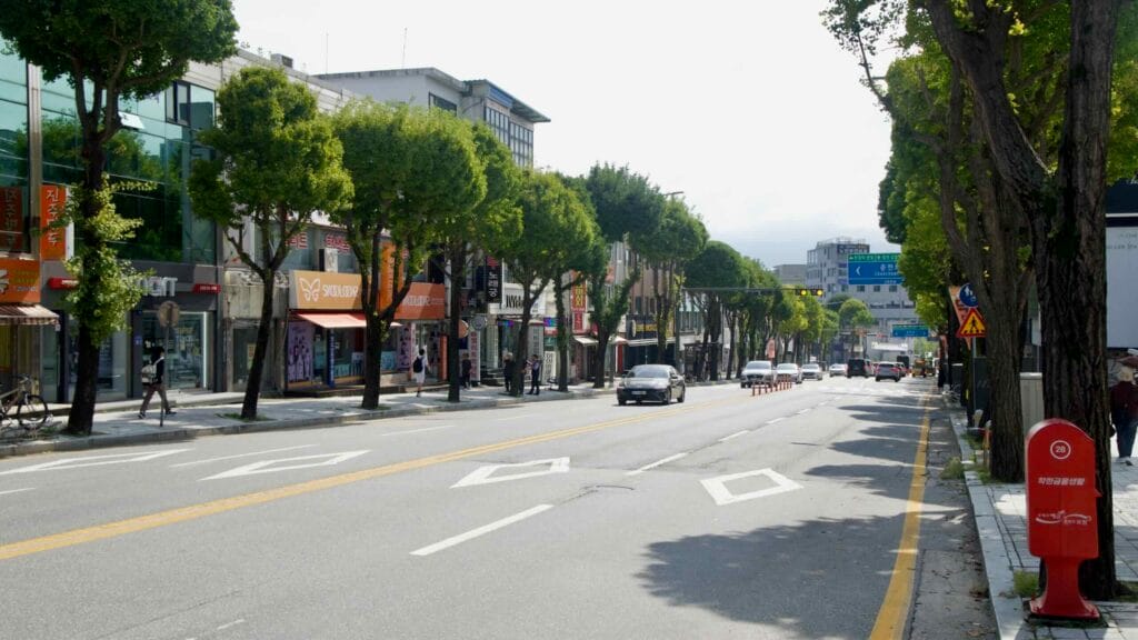 A tree-lined downtown avenue with shops and cafés runs through central Chuncheon.