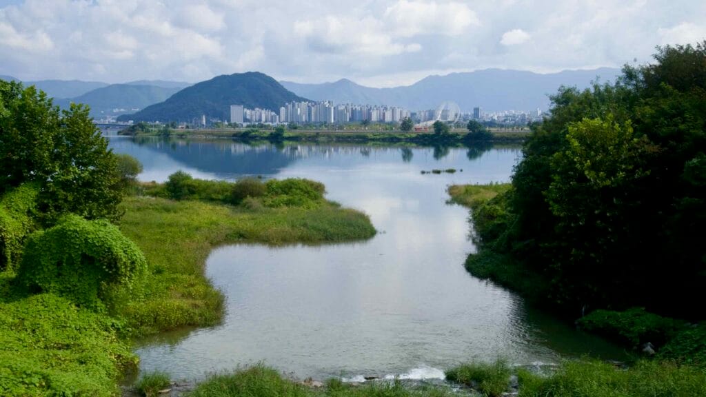 Wetlands lead into Uiam Lake with Chuncheon’s skyline and ring-pylon bridge beyond.