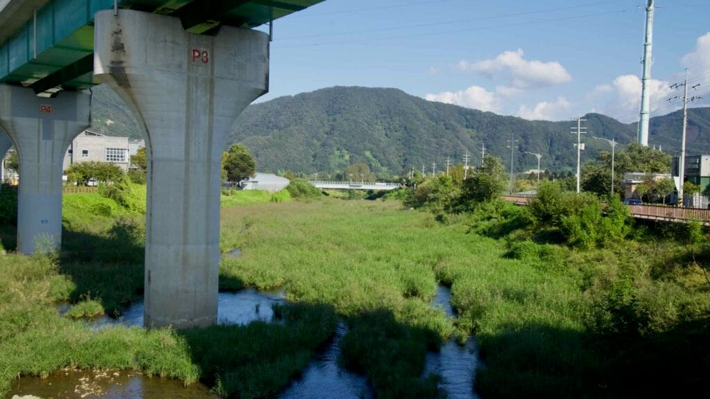 Concrete viaduct piers rise above a grassy stream channel near Jara Island.