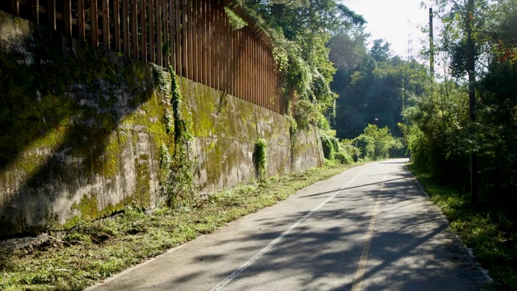 Sunlight grazes a moss-covered retaining wall topped by a timber fence along the Bukhangang Bike Path.