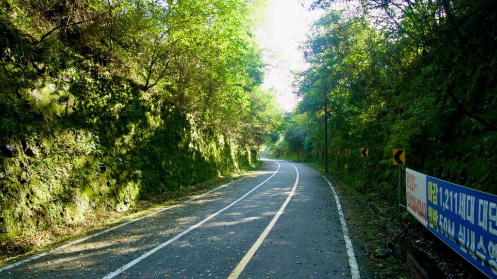 Beyond the tunnel, the bike path curves through a mossy rock cut lined with chevron markers and a banner.