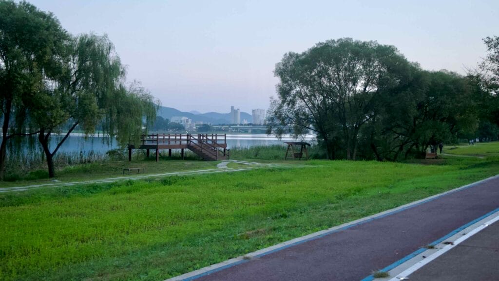 A wooden viewing deck stands above wetlands on the North Han River.