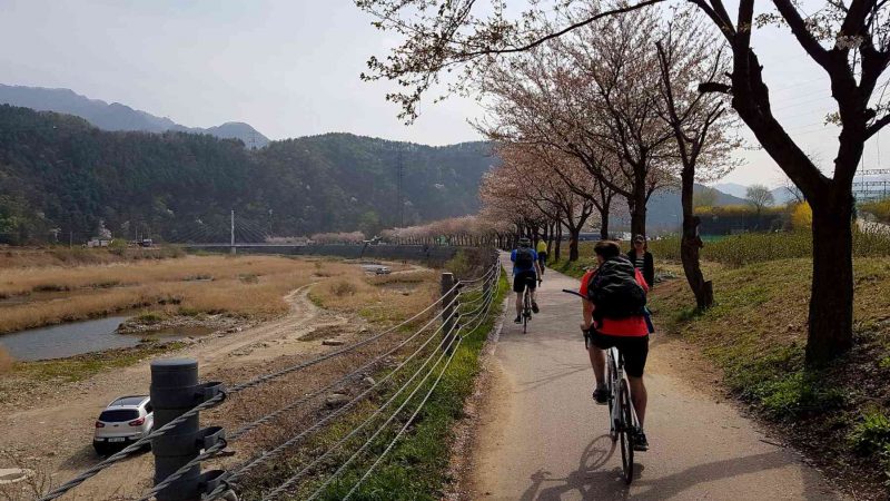 Chuncheon ⟷ Hanam Bikers Blossoms Path