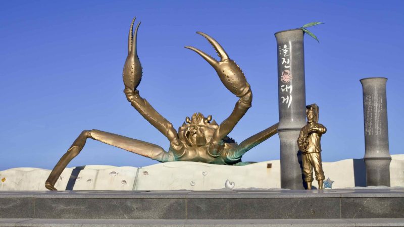 A picture of Golden Snow Crab Pyeonghae Park in Uljin County, South Korea.
