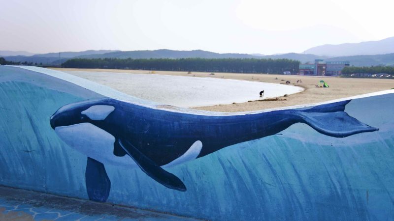 A picture of Goraebul Beach (고래불해수욕장) in Yeongdeok County, South Korea.