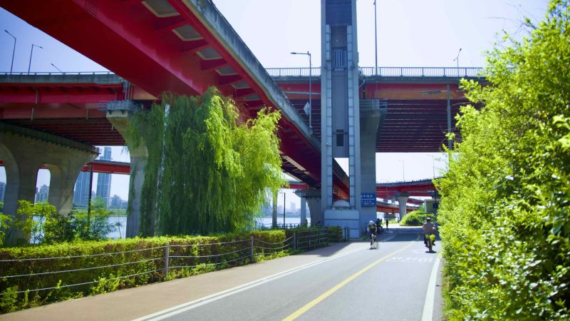 A picture of the bike path under Seongsu Bridge (성수대교) in Jamwon Hangang Park (잠원한강공원) in Seoul, South Korea.