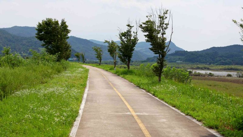 A picture of the Nakdonggang Bike Path (낙동강자전거길) along the Nakdong River in South Korea.