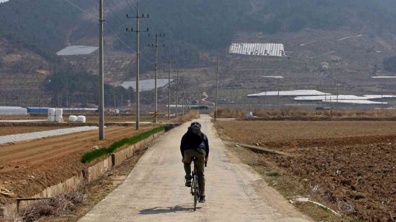 Nakdonggang-Bike-Path-Changnyeong-Busan-Farm-Roads-and-Biker-near-Changnyeong-Haman-bo-Tall