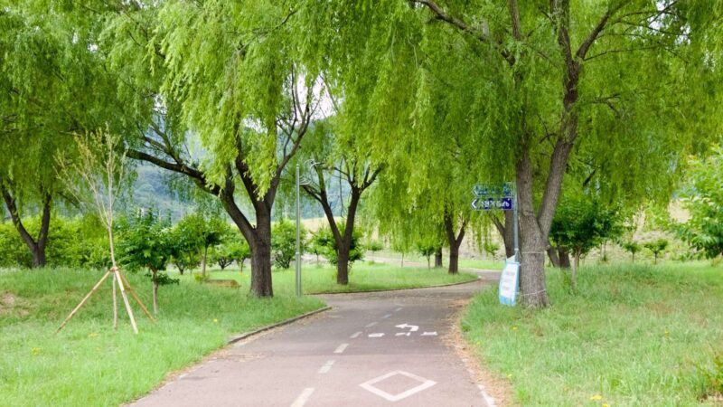 A picture of Gilgok Eco Park (길곡수변생태공원) on the Nakdong River (낙동강) along the Nakdonggang Bike Path (낙동강자전거길).