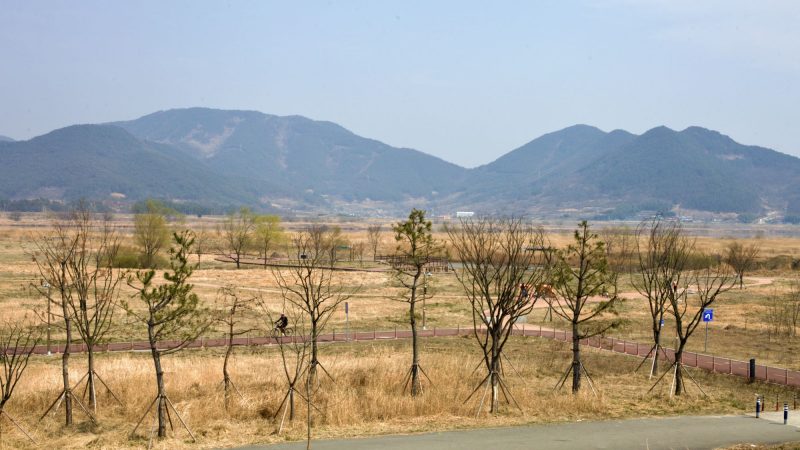 A picture of the Haman River Ferry Forest (함안강나루숲) near the Nakdonggang Bike Path (낙동강자전거길) along the Nakdong River in South Korea.