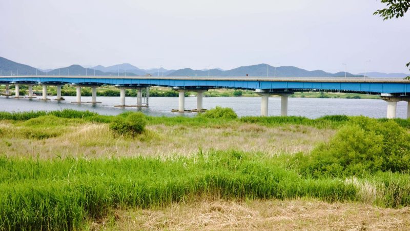 A picture of Su-san Bridge (수산교) crossing the Nakdong River (낙동강) along the Nakdonggang Bike Path (낙동강자전거길).