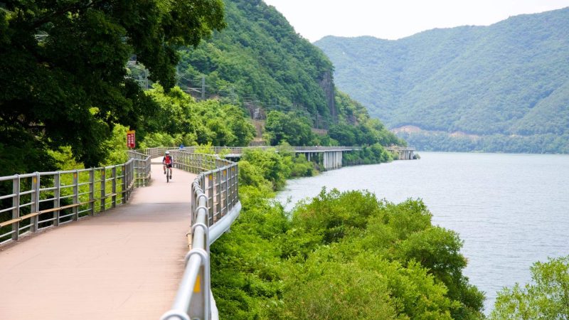 A picture of the boardwalk cycling paths along the Nakdonggang Bike Path (낙동강자전거길) in Samrangjin Town (삼랑진읍) along the Nakdong River (낙동강) in South Korea.