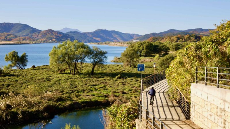 A picture of the Nakdonggang Bike Path (낙동강자전거길) along the Nakdong River in Dalseong Country, South Korea.