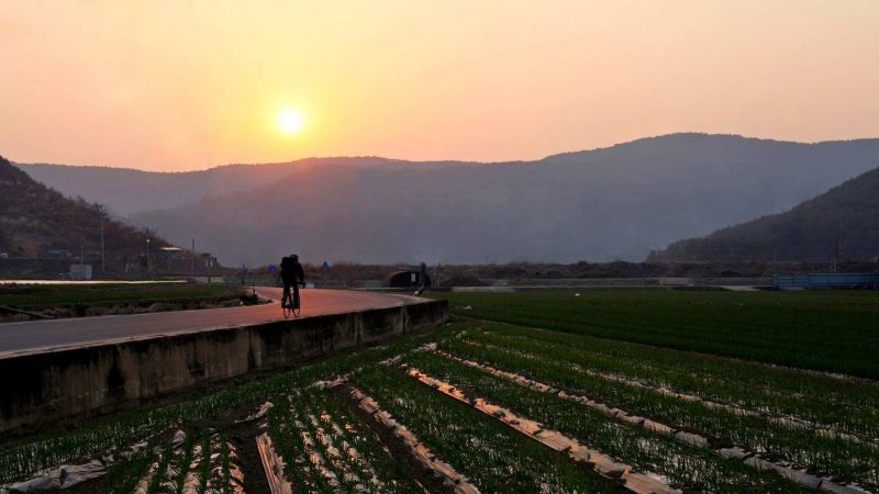 A picture of farm fields on the Nakdonggang Bike Path (낙동강자전거길) in Dalseong County, South Korea.