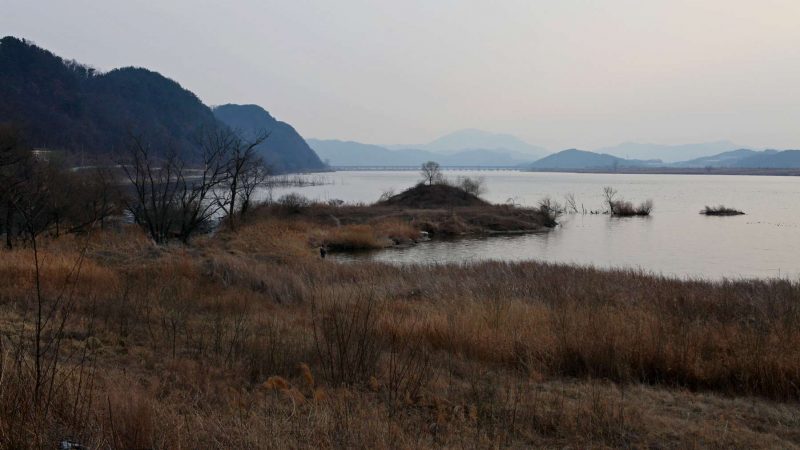 Nakdonggang-Bike-Path-Gumi-Daegu-River-and-Marshland