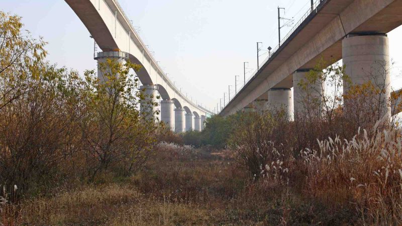 Ocheon Bike Path - Jeungpyeong Sejong - Railroad Overpasses on Miho Stream