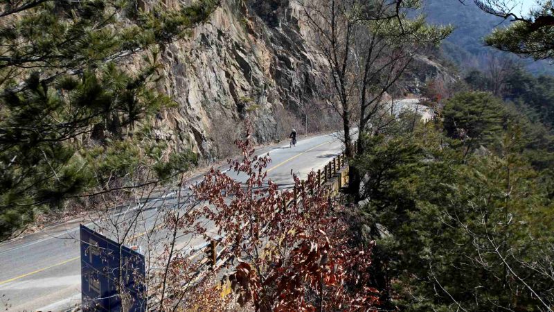Rock walls, a curving mountain road, and pine trees decorate the climb up Ihwa Pass on the Saejae Bike Path.
