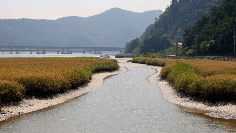 Seomjingang Bike Path - Gokseong Gwangyang - Sandy Inlet on Seomjin River in Gwangyang (Wide)