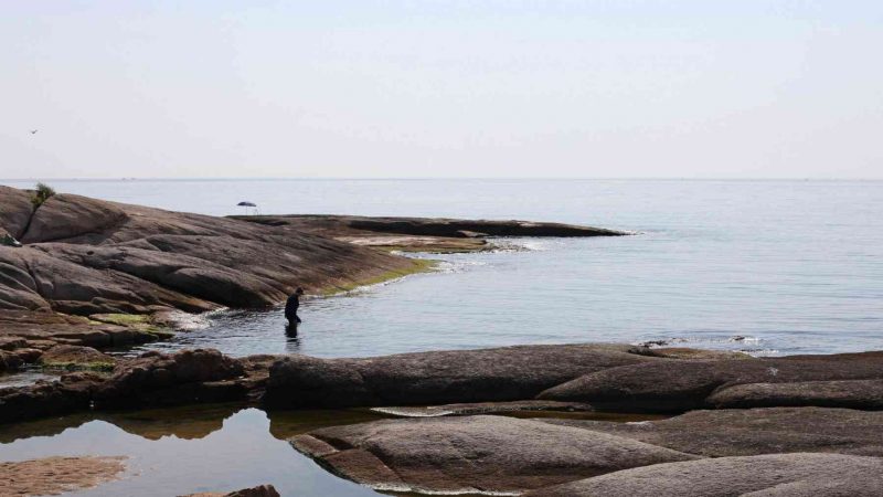 Sokcho ⟷ Daejin Smooth Rocks and Ocean Man