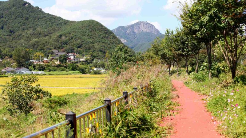 Yeongsangang Bike Path - Damyang Gwangju - Mountain and Bike Path